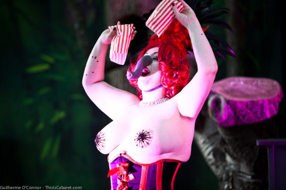 Will strip for peanuts: Rose Thorne performs her Elephant Woman burlesque routine at the London Zoo