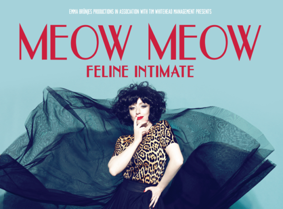 "Kamikaze cabaret" star Meow Meow will be appearing at the London Wonderground for three weeks.
